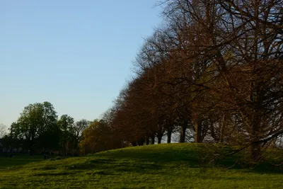 DSC_7131 (Large).JPG